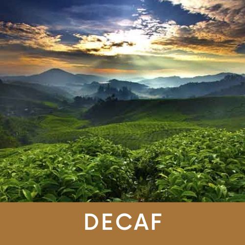 Photo of Ethiopia Yirgacheffe Decaf