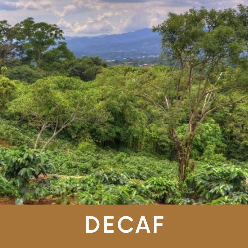 Photo of Colombia Decaf