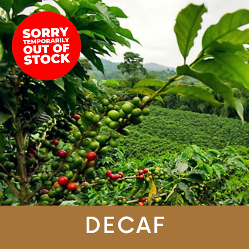 Photo of Sumatra Decaf