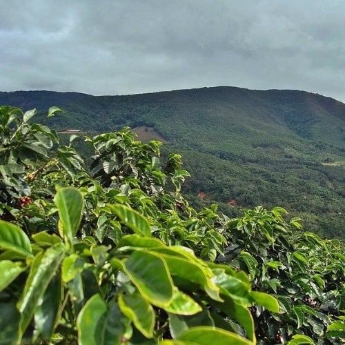Photo of Costa Rica