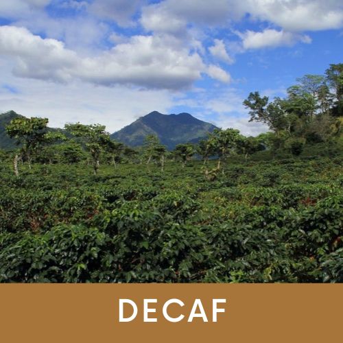 Photo of Guatemala Decaf