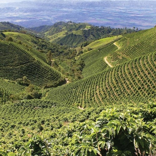 Photo of Brazil