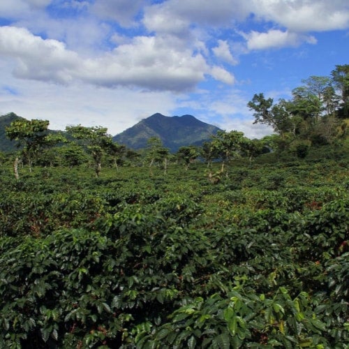 Photo of Guatemala