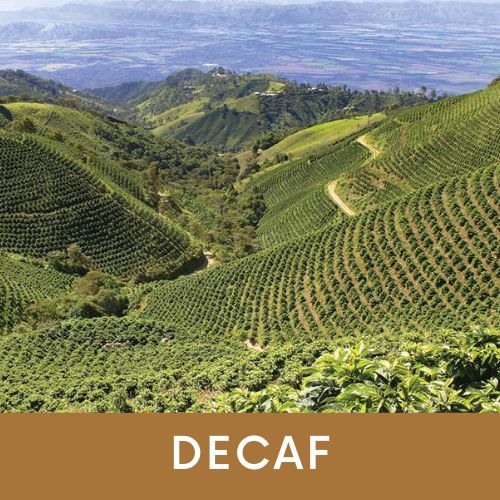 Photo of Brazil Decaf