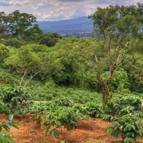 Photo of Colombia