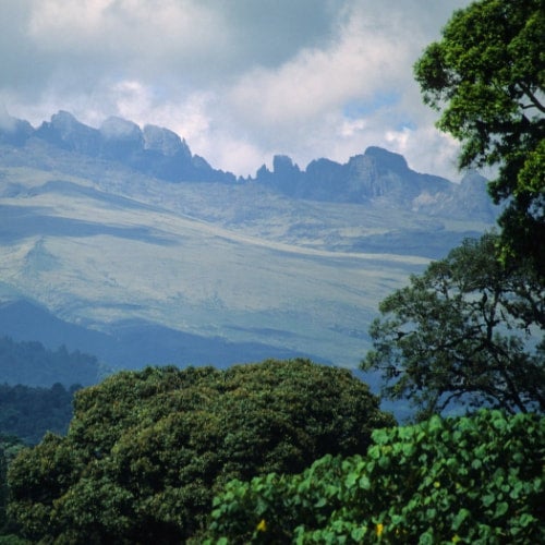Photo of Kenya