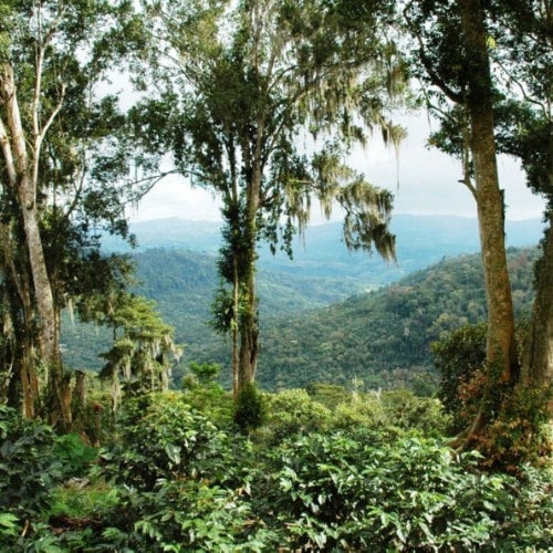 Photo of Nicaragua