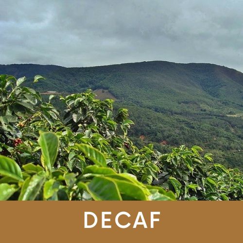 Photo of Costa Rica Decaf